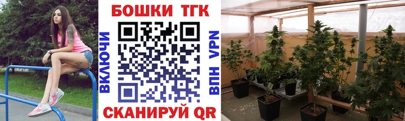 Галлюциногенные грибы Ковдор