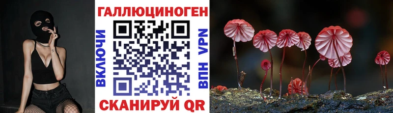 Купить  Ковдор  Псилоцибиновые грибы Magic Shrooms 